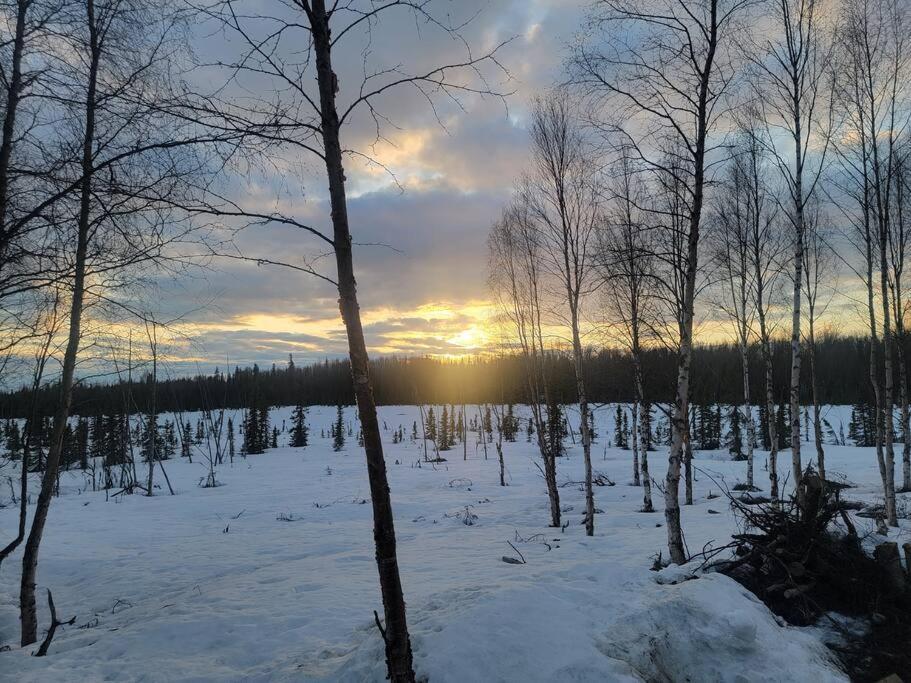 Cozy Apartment Between The Rivers Soldotna Eksteriør bilde